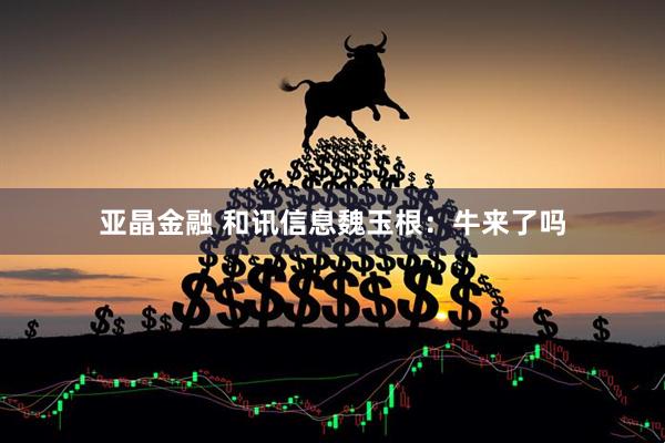 亚晶金融 和讯信息魏玉根：牛来了吗
